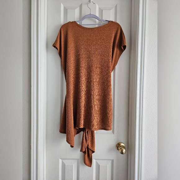 Bundle: Zara Tunic Length Tops - Picture 9 of 10